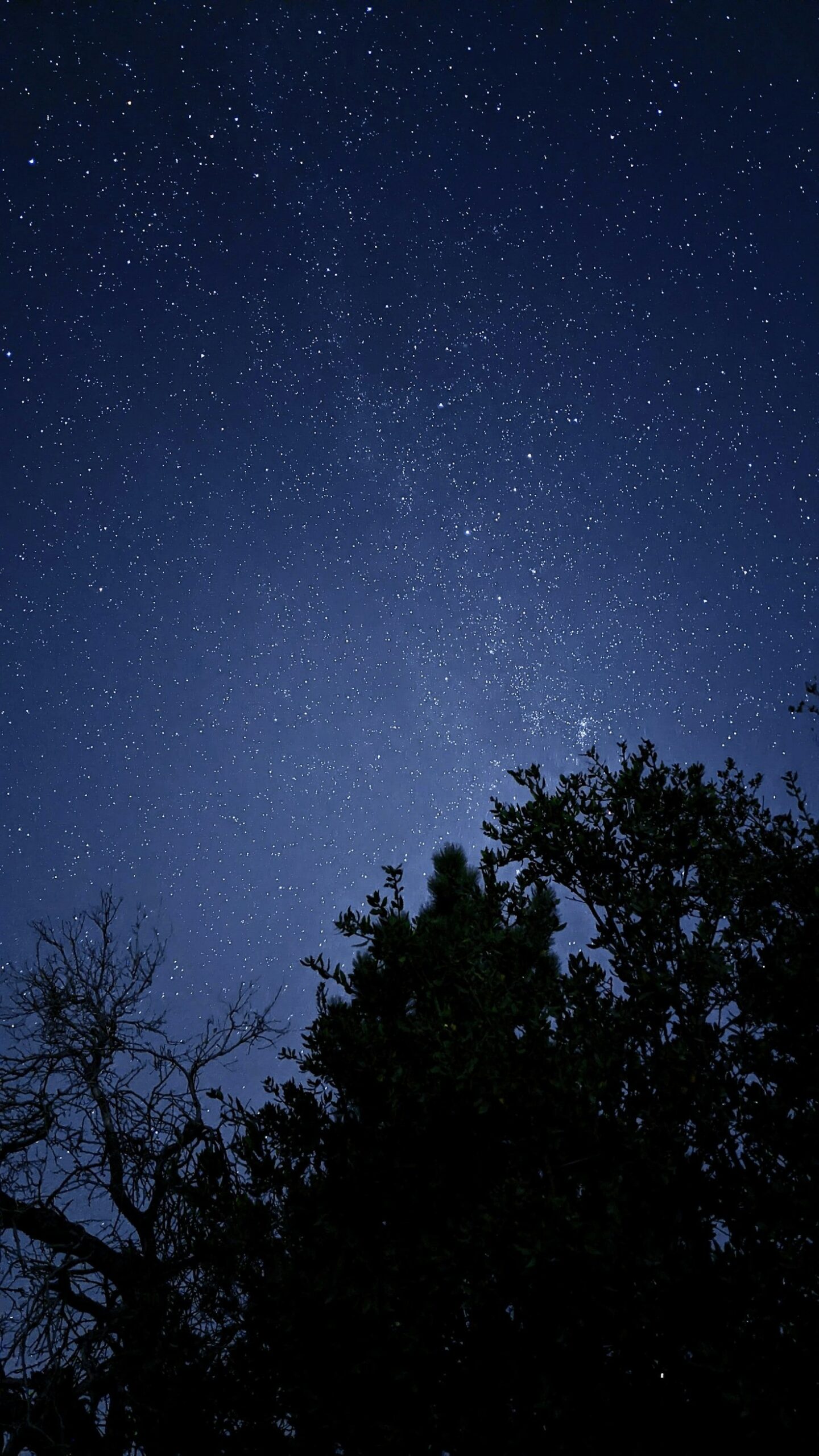 Deep Dive Into Retrogrades: Myths and Realities